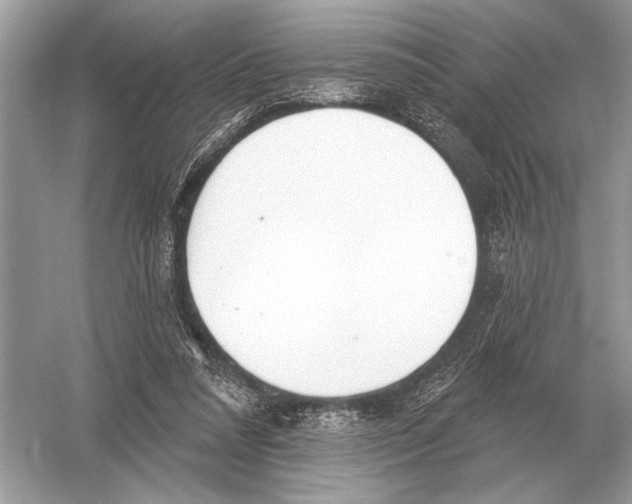 X0000051920304200507222141