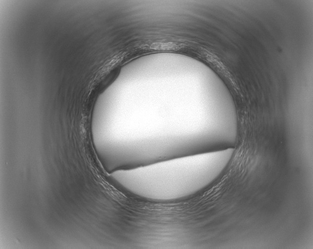 X0000051920305200507222141