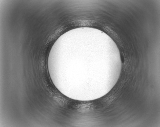 X0000051920306200507222141