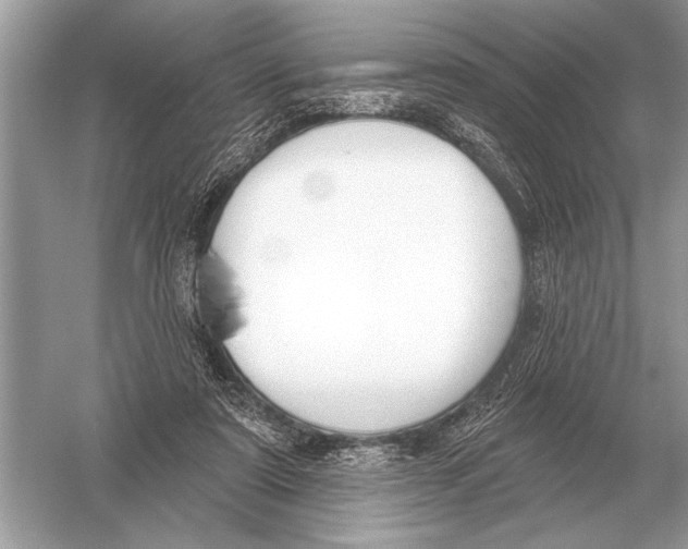 X0000051920307200507222141