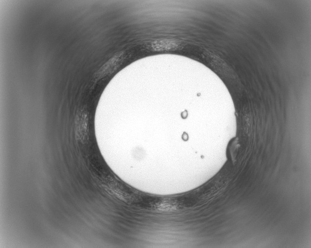 X0000051920308200507222141