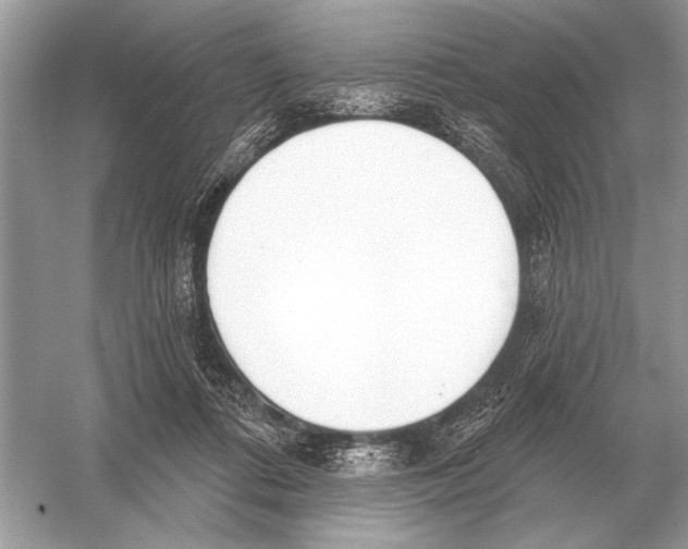 X0000051920312200507222141