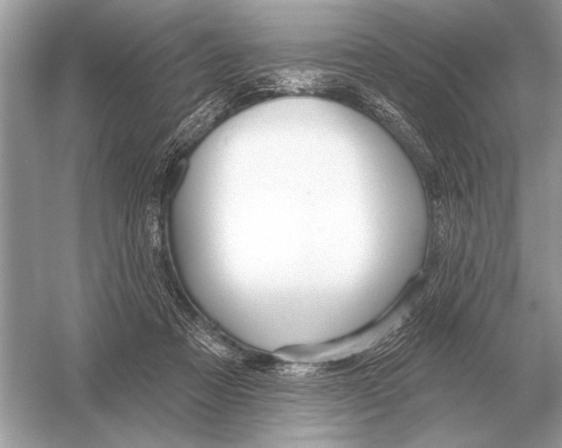 X0000051920313200507222141