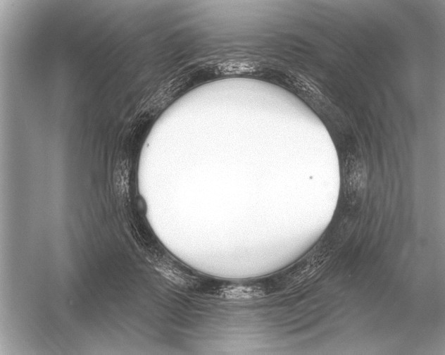 X0000051920315200507222141