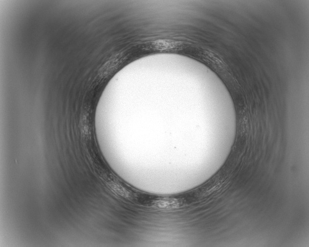 X0000051920317200507222141