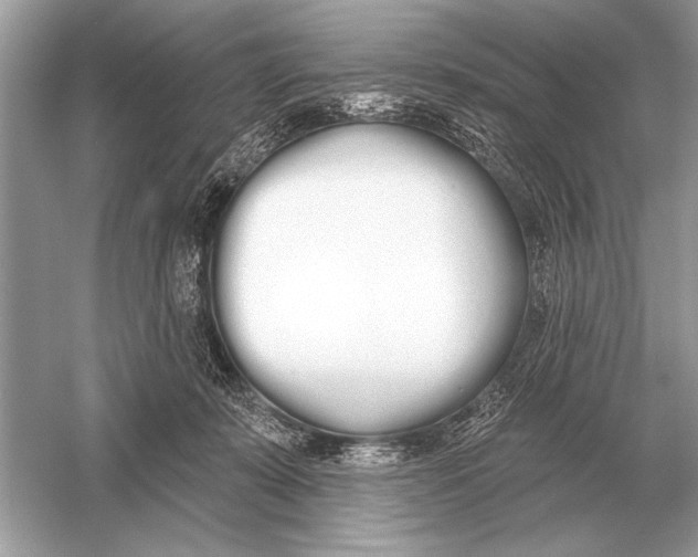 X0000051920319200507222141