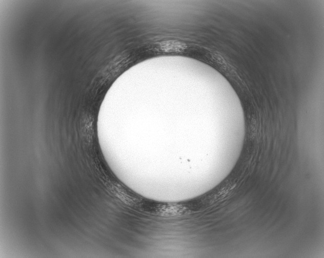 X0000051920321200507222141