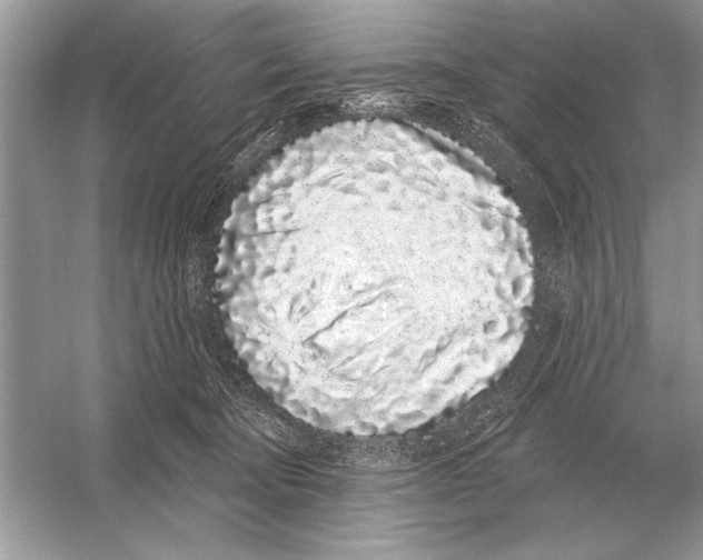 X0000051920322200507222141