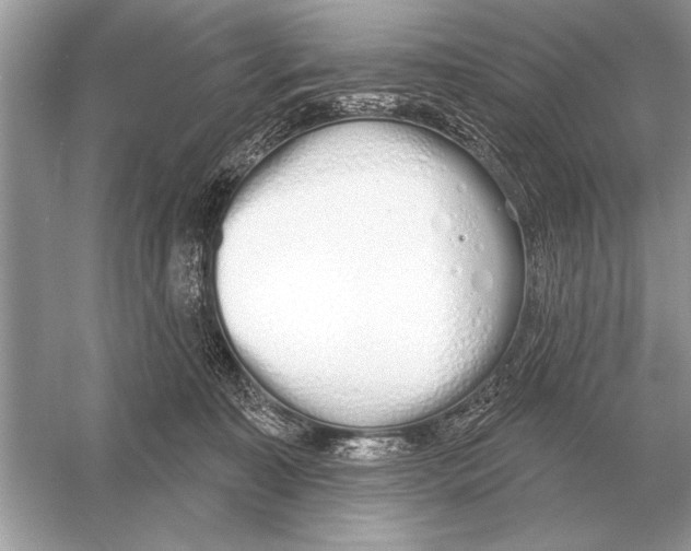 X0000051920323200507222141