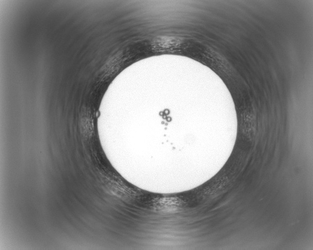 X0000051920324200507222141