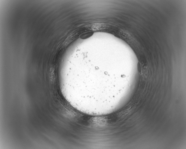 X0000051920327200507222141