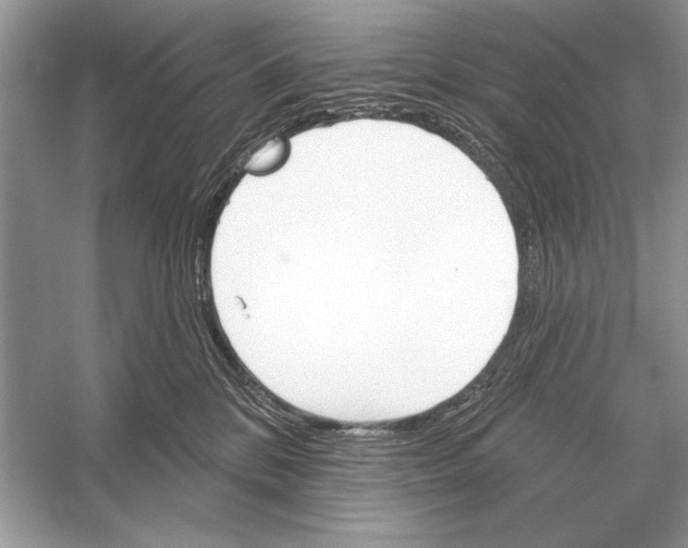 X0000051920328200507222141