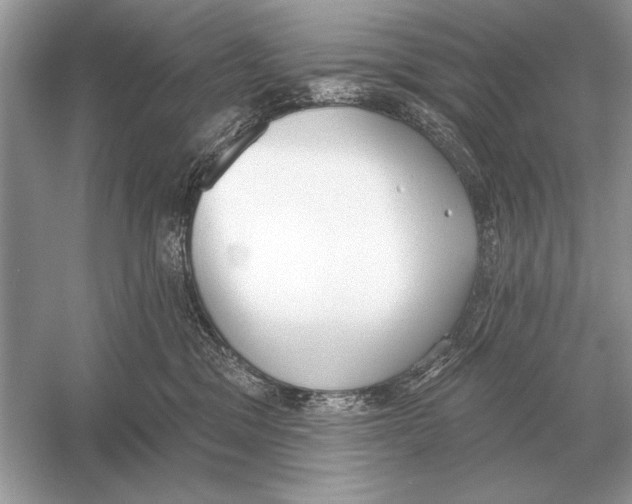 X0000051920329200507222141