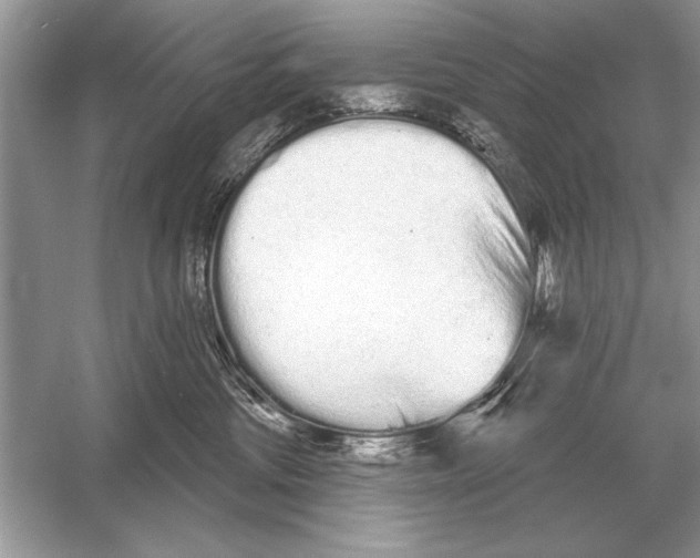 X0000051920330200507222141