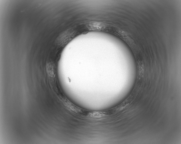 X0000051920331200507222141