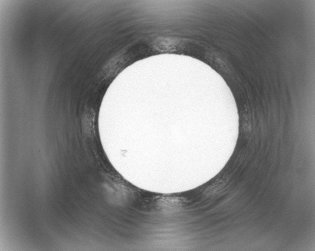 X0000051920332200507222141