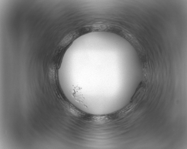 X0000051920333200507222141