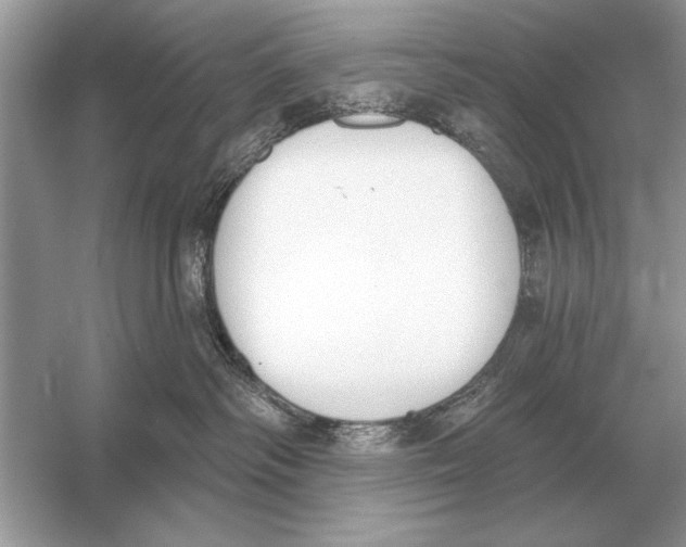 X0000051920334200507222141