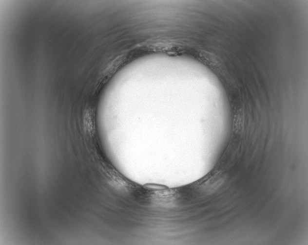 X0000051920335200507222141