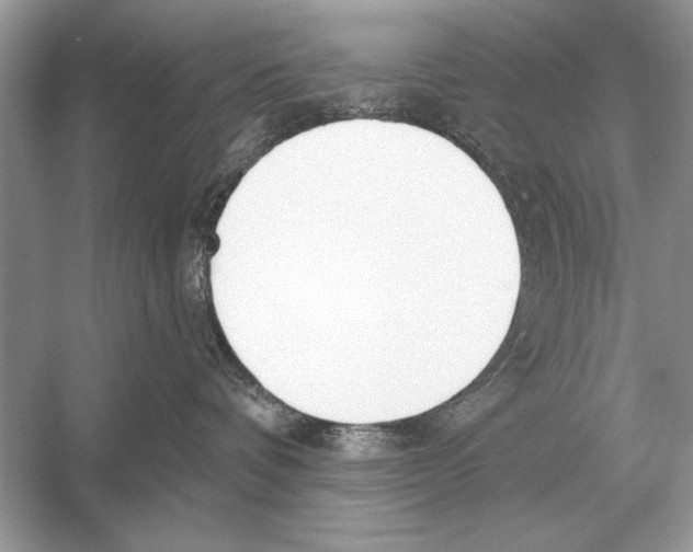 X0000051920336200507222141