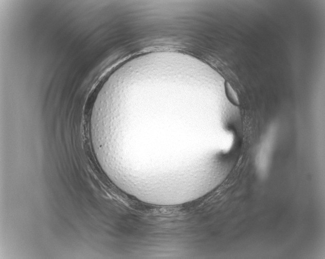 X0000051920338200507222140