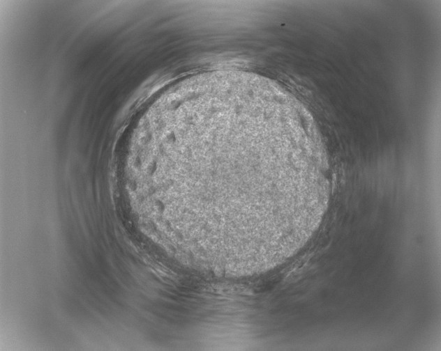 X0000051920339200507222140