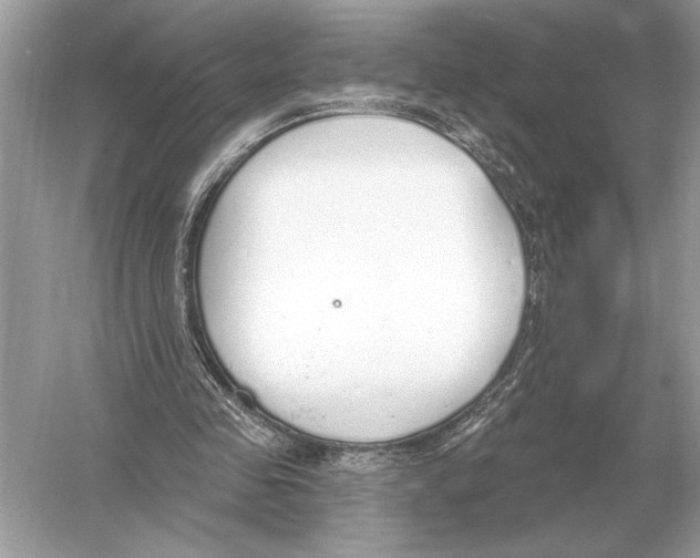 X0000051920341200507222140