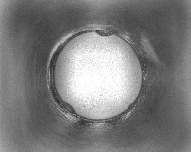 X0000051920342200507222140