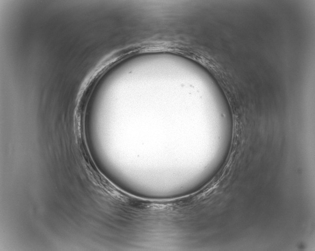 X0000051920343200507222140