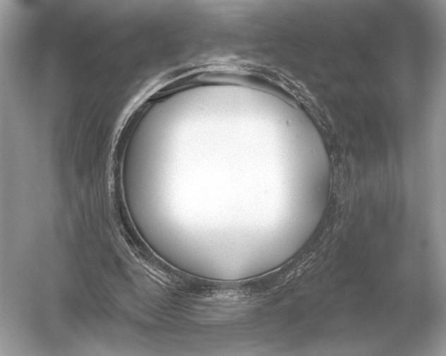 X0000051920344200507222140