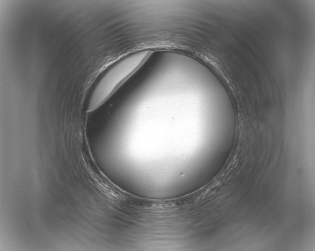 X0000051920345200507222140