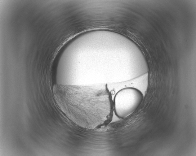 X0000051920346200507222140