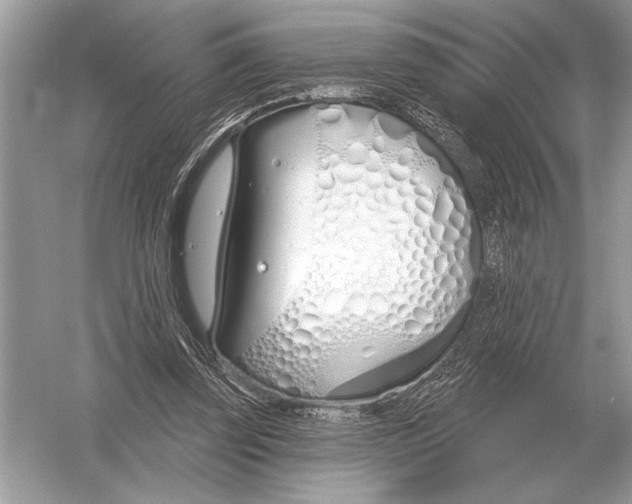 X0000051920347200507222140