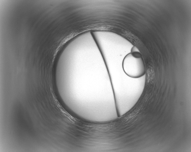 X0000051920349200507222140