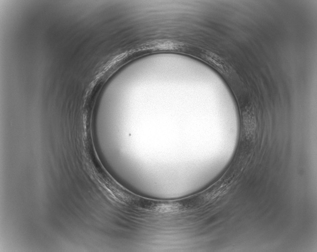 X0000051920350200507222140