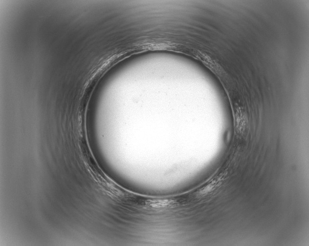 X0000051920351200507222140