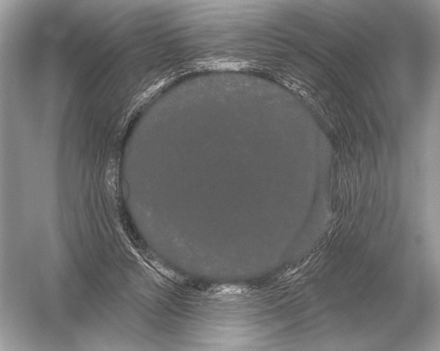 X0000051920352200507222140