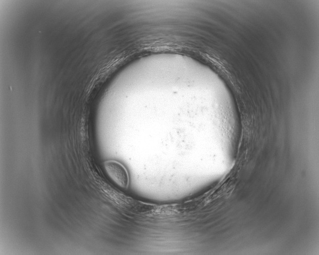 X0000051920353200507222140