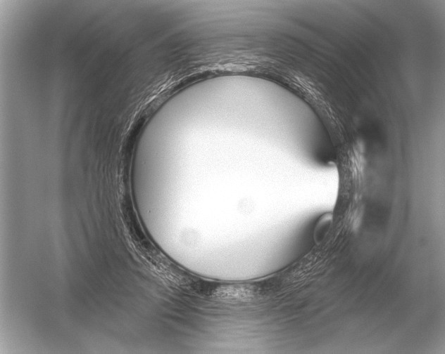 X0000051920354200507222140