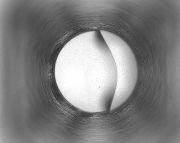 X0000051920356200507222140