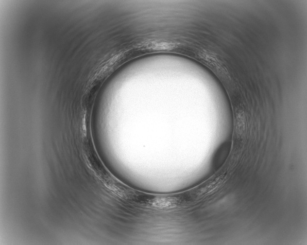 X0000051920358200507222140