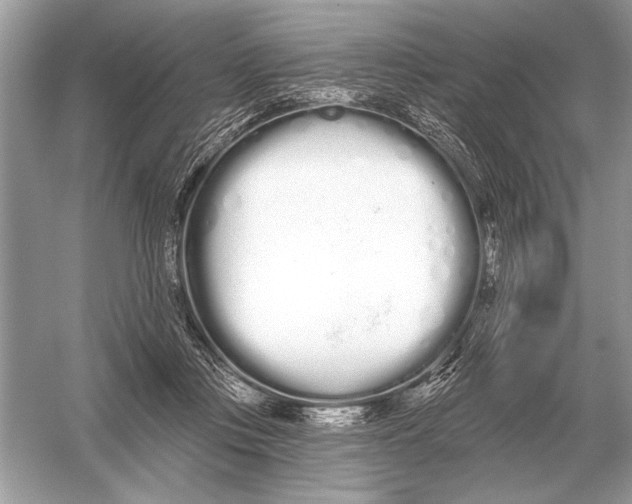 X0000051920359200507222140