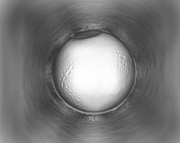 X0000051920360200507222140