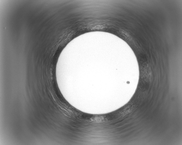 X0000051920362200507222140