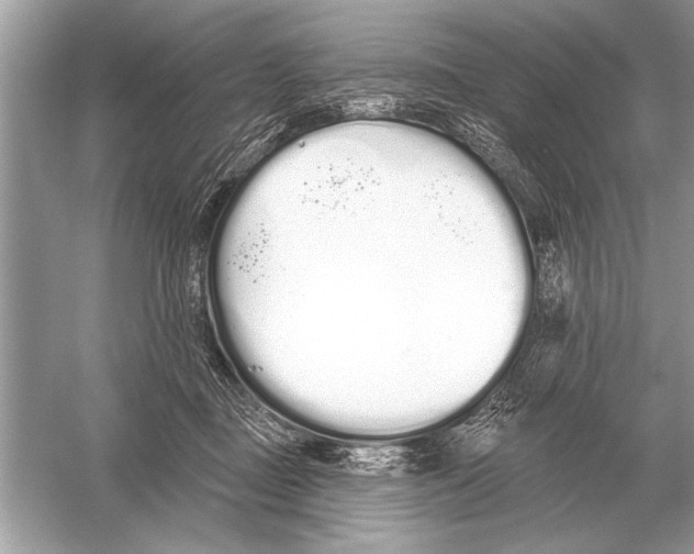 X0000051920363200507222140