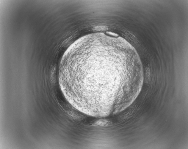 X0000051920364200507222140