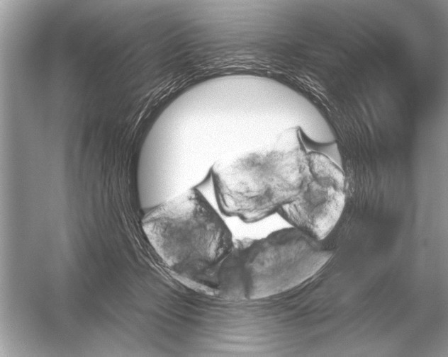 X0000051920365200507222140