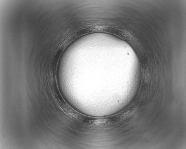 X0000051920366200507222140