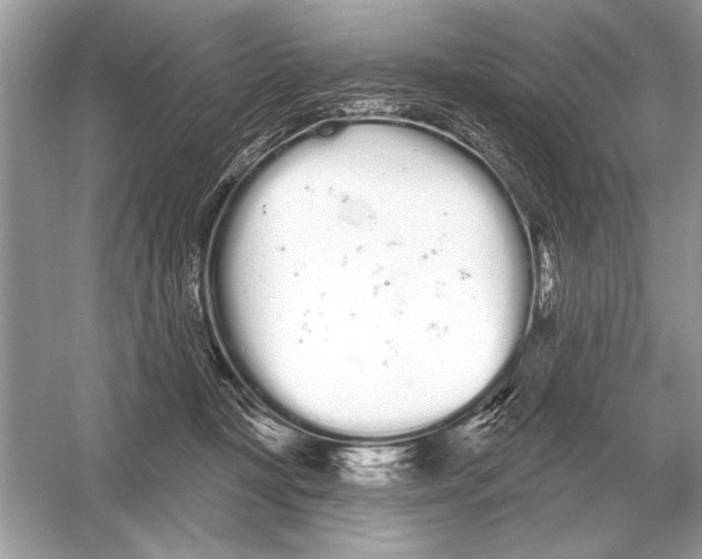 X0000051920367200507222140