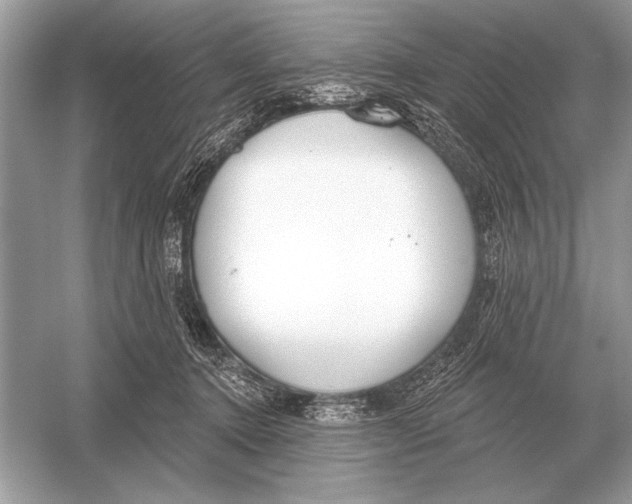 X0000051920368200507222140